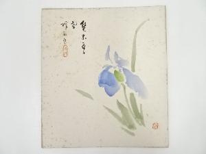 河野珠石筆　菖蒲図　肉筆色紙